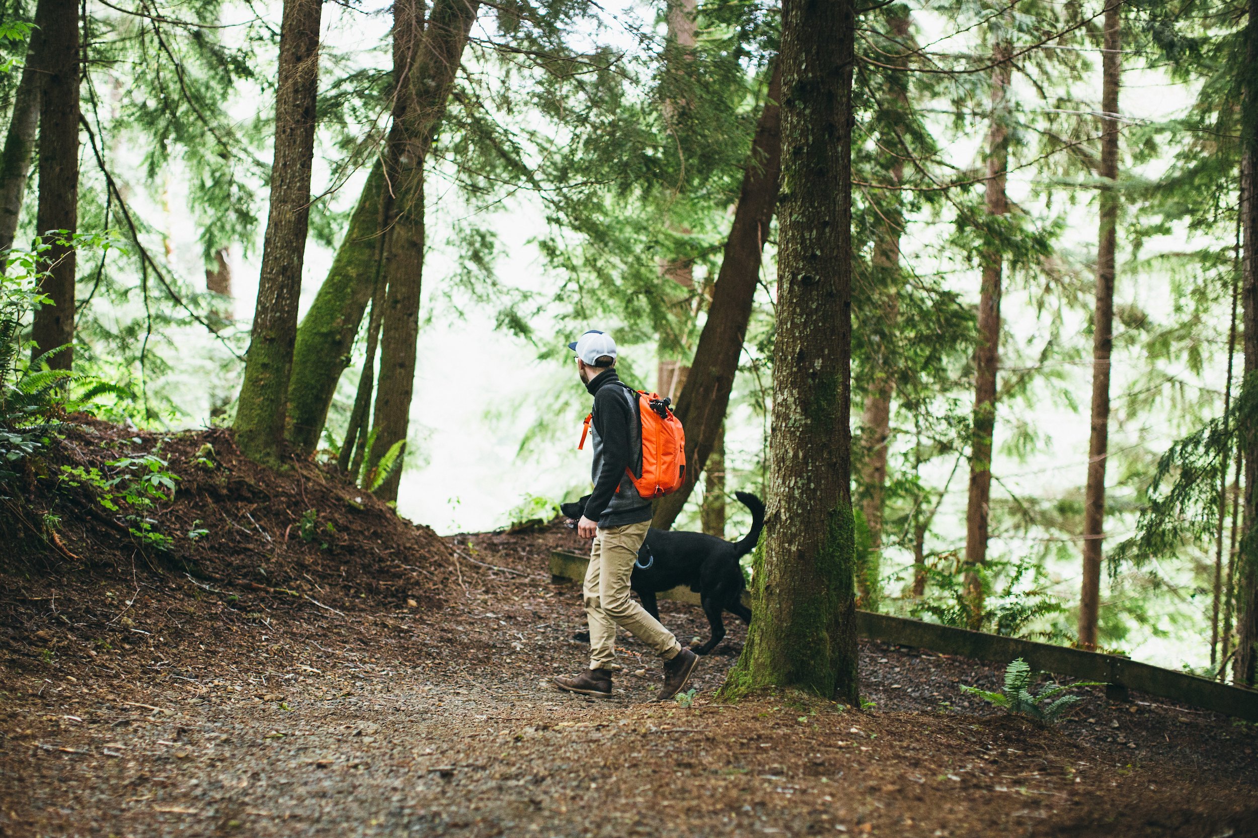 Blue Zones Project Site Assessment Grays Harbor